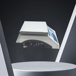 इलेक्ट्रॉनिक औद्योगिक बेंच स्केल वजन और गिनती पैमाने प्रयोगशाला संतुलन 28000g क्षमता 0.1 जी - Product Image 5