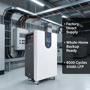 Batería LFP Residencial de 16 kWh, 51.2V 314Ah, Escalable a 240 kWh, Lista para Distribuidores, Agentes y Mayoristas, Instaladores Solares, 8000 Ciclos - Product Image 1