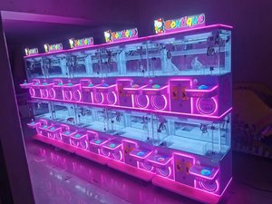 Machine à griffes d'arcade à monnayeur, boîtier métallique, distributeur de jouets et de poupées avec accepteur de billets, version anglaise - Product Image 5