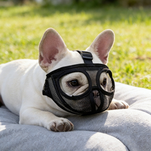 Nouvelle muselière pour chien Happy Custom, en plastique et polyester durables, respirante, en maille, réglable, douce, anti-morsure, anti-aboiement, tailles S/M/<span class=keywords><strong>L</strong></span> - Product Image 5