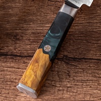 Ensemble de couteaux de chef de cuisine japonais Ensemble de couteaux à sushi Manche en résine et bois stabilisé Couteau à sushi