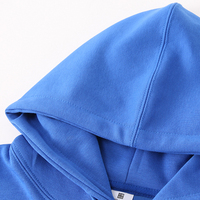 Pull à Capuche Double Couche Lourd 60% Coton 40% Polyester, Cordon de Serrage, 300 GSM, Épaules Tombantes, Unis, Vrac, Taille 3XL