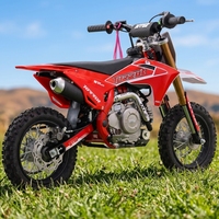 Moto 50 cm³ pour enfant, légère et sécurisée, facile à conduire, automatique, fonctionnant à l’essence, minimoto TURRUT
