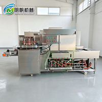Energiebesparende open-vlam brandmachine, professionele verwerkingsapparatuur voor diverse fruiten en groenten