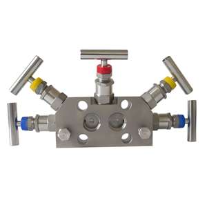ลดราคาพิเศษ 3051CD Coplanar DP Differential พร้อม 5 Manifold 4-20mA HART สำหรับน้ำมันและก๊าซ - Product Image 2