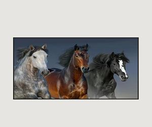 Huamiao وصل حديثًا إطار ديكور لغرفة المعيشة حديث حيوان حصان أبيض وأسود رسم على الحائط - Product Image 5