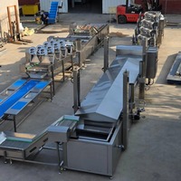 Automatische multifunctionele productielijn voor diepvriesfrieten van groenten, hoge efficiëntie, eenvoudige bediening