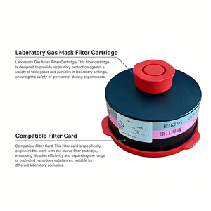 Filtre combiné OEM & ODM d'usine B2 contre les vapeurs et <span class=keywords><strong>gaz</strong></span>, le chlore, les <span class=keywords><strong>gaz</strong></span> inorganiques, les fumé<span class=keywords><strong>es</strong></span> toxiques, les brumes toxiques - Product Image 5