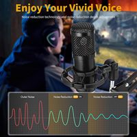 Micrófono de Condensador Profesional con Cancelación de Ruido, Hipercardioide, Cableado, de Metal ABS, USB, para Grabación en Estudio Casero, Juegos, YouTube, PC
