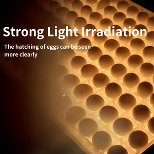 <span class=keywords><strong>Machine</strong></span> de test portable pour œufs 88 œufs, testeur d'œufs, candélabre, grande capacité, incubateur d'œufs pour le test - Product Image 4