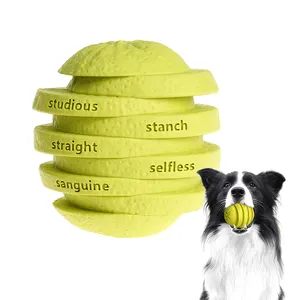 NEW Fashion Orange Dog Intelligence Ch Luxury Pet Toy Designer gomma naturale durevole cane giocattolo da masticare