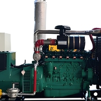 EPA Cummins Weichai 200KW Methan LPG Biogas Erdgas AC Einphasiger Hochenergie-Zündungs-Kraftstoffspar-Generator 50/60Hz Effizienter Generator