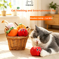Kattenspeelgoed Schattig fruitvormig kattenkruid pluche speeltje Fruit kauwspeeltje met Silver Vine stick voor kittens om op te kauwen