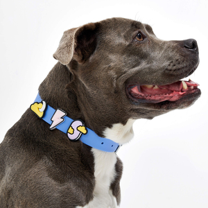 Nouveau design de gros logo personnalisé de luxe boucle en métal réglable concepteur PVC étanche collier de <span class=keywords><strong>chien</strong></span> et chat breloques - Product Image 1