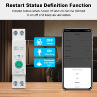 Interrupteur intelligent Wifi 1P+N 1-40A en plastique pour usage industriel, commande à distance par téléphone portable, minuterie, mesure de la consommation, multifonction