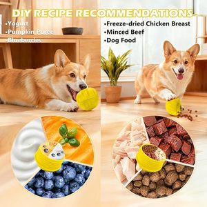 Distributeur de friandises durable et indestructible <span class=keywords><strong>pour</strong></span> <span class=keywords><strong>chien</strong></span>, <span class=keywords><strong>jouet</strong></span> d'enrichissement cognitif congelable, idéal <span class=keywords><strong>pour</strong></span> <span class=keywords><strong>occuper</strong></span> les chiens de petite et moyenne taille au quotidien - Product Image 4