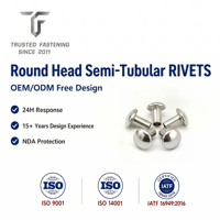 Rivets semi-tubulaires à tête ronde en acier inoxydable TianFang pour la production d'instruments de précision, finition passivée, production en vrac