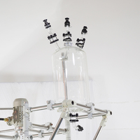 Reactor de Vidrio de Doble Capa de Borosilicato de 100L con Condensador de Vidrio, Alta Productividad