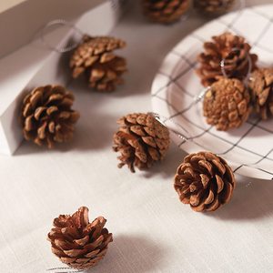 100% naturale pappagallo gabbia decorazione bocca di uccello e artiglio salute Versatile morso pigne giocattolo molare con il fissaggio di noci per gli uccelli - Product Image 1