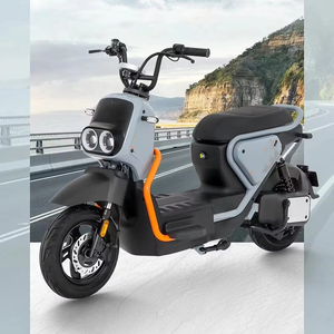 Excellent <span class=keywords><strong>prix</strong></span>, scooter <span class=keywords><strong>électrique</strong></span> 350W avec panier avant, double siège, absorption des chocs, autonomie de 45 km/55 km pour les trajets urbains - Product Image 6