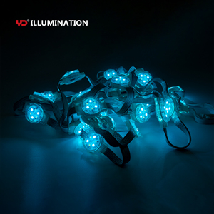 20 mét IP68 <span class=keywords><strong>pixel</strong></span> <span class=keywords><strong>LED</strong></span> DC24V RGBW DMX lập trình vĩnh viễn Đèn ngoài trời cho Giáng sinh chiếu sáng - Product Image 5