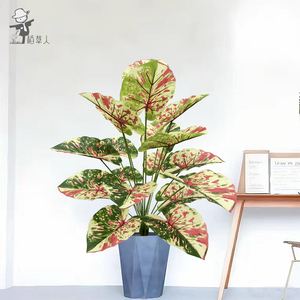Planta Artificial <span class=keywords><strong>de</strong></span> <span class=keywords><strong>Oreja</strong></span> <span class=keywords><strong>de</strong></span> <span class=keywords><strong>Elefante</strong></span> con Puntos Rojos, en <span class=keywords><strong>Maceta</strong></span>, para Decoración <span class=keywords><strong>de</strong></span> Bodas y Pascua, Producto Nuevo en Venta - Product Image 2