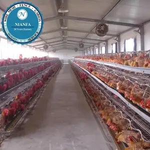 מאוריטניה סוללה מחיר לול/מחיר כלובים לתרנגולות מטילים כלוב מחיר (גואנגזו מפעל)