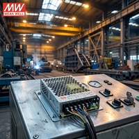 Fuente de alimentación conmutada Meanwell original de 50W 12V 4.2A, fuente de alimentación industrial, transformador de 12V con 3 años de garantía