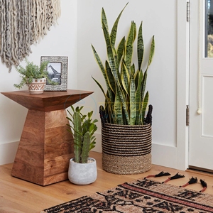 <b>Rustic</b> Sheesham Wood <b>Side</b> <b>Table</b> with Sculpted Geometric Base and Wide Top Modern Boho Accent Stand for Living Room Bedroom Decor - Product Image 1
