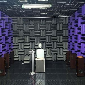 Phát hiện tiếng ồn buồng không phản xạ im lặng phòng thí nghiệm phòng không phản xạ phòng kiểm tra tiếng ồn - Product Image 1