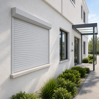 Porte de garage enroulable de style moderne pour villa résidentielle, prix d'usine, porte à enroulement de luxe pour villa