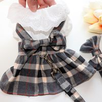 Ensemble de vêtements pour animaux de compagnie en gros : Jupe à bretelles à carreaux pour chien avec nœud en dentelle et laisse – Vente directe usine