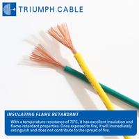 Kabel Kawat Tembaga PVC Tahan Suhu Tinggi Model RV untuk Energi Baru Otomotif, Harga Pabrik, Single-Strand, 450/750V, untuk Penggunaan Bangunan