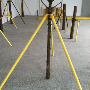 Plant Support Stake Fiberglass Poles for Tomato Grape Trees - Product Image 6