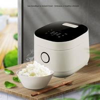 Cuisinière à riz multifonctionnelle avec cuve en céramique émaillée, panneau tactile, 5 litres, LED, idéale pour les grandes familles et les restaurants