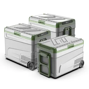 Alpicool G55 nuovo compressore RV di tendenza frigoriferi per auto congelatori frigo portatili frigoriferi per auto