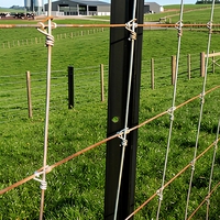 Clôture en treillis métallique galvanisé à chaud GUOHUI pour bétail, ferme, champ, ranch et enclos de pâturage