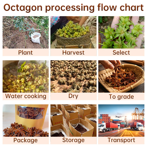 โป๊ยกั๊กแห้ง<span class=keywords><strong>ผง</strong></span>สกัดจากจีน Guangxi สีแดงโป๊ยกั๊กหมูตุ๋น<span class=keywords><strong>ปรุง</strong></span>รสผัดหม้อร้อนปรุงรส - Product Image 4
