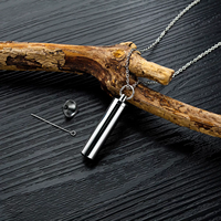 Collier tendance en acier inoxydable pour cendres d'animaux de compagnie, pendentif flacon de parfum personnalisé, bijou simple et élégant