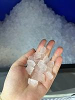 100kg/24h 120kg/24h 150kg/24h Machine à glaçons pilés Nugget Ice Maker à vendre