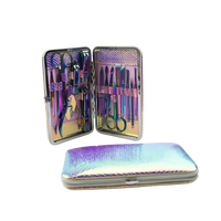 Kit de manucure et pédicure professionnel portable en acier inoxydable à motif serpent iridescent, 16 pièces, fournitures pour la Saint-Valentin