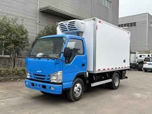 Remolque Refrigerado Multifuncional Manual Nuevo con Motor Diésel para Catering Móvil y Transporte en Cadena de Frío, Diseño Personalizable - Product Image 6