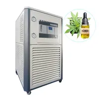 Дешевые 50L лаборатории низкой температуры циркуляционный охладитель DLSB-50/80