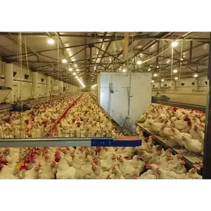 Rumah unggas bangunan struktur baja pertanian ayam metalik murah modular