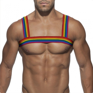 Pride day – harnais arc-en-ciel, sangle d'épaule, Muscle, décoration <span class=keywords><strong>de</strong></span> fête, <span class=keywords><strong>de</strong></span> boîte <span class=keywords><strong>de</strong></span> nuit pour hommes, sangles <span class=keywords><strong>de</strong></span> <span class=keywords><strong>costume</strong></span>, harnais élastique personnalisé Sexy pour hommes - Product Image 3