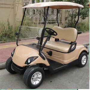 2020 Vendita CALDA 2 sedile scooter mini golf cart elettrico o gas di potenza