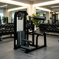 Liva LW-1319 Machine commerciale d'extension dorsale assise en acier avec sélection de charge par broche pour la musculation du bas du dos en salle de sport avec pile de poids