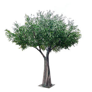 Albero di Ulivo Artificiale in Seta 350cm, Ecologico <span class=keywords><strong>e</strong></span> Durevole, <span class=keywords><strong>Verde</strong></span> Realistico per Decorazioni Interne ed Esterne, Casa <span class=keywords><strong>e</strong></span> Matrimoni - Product Image 1