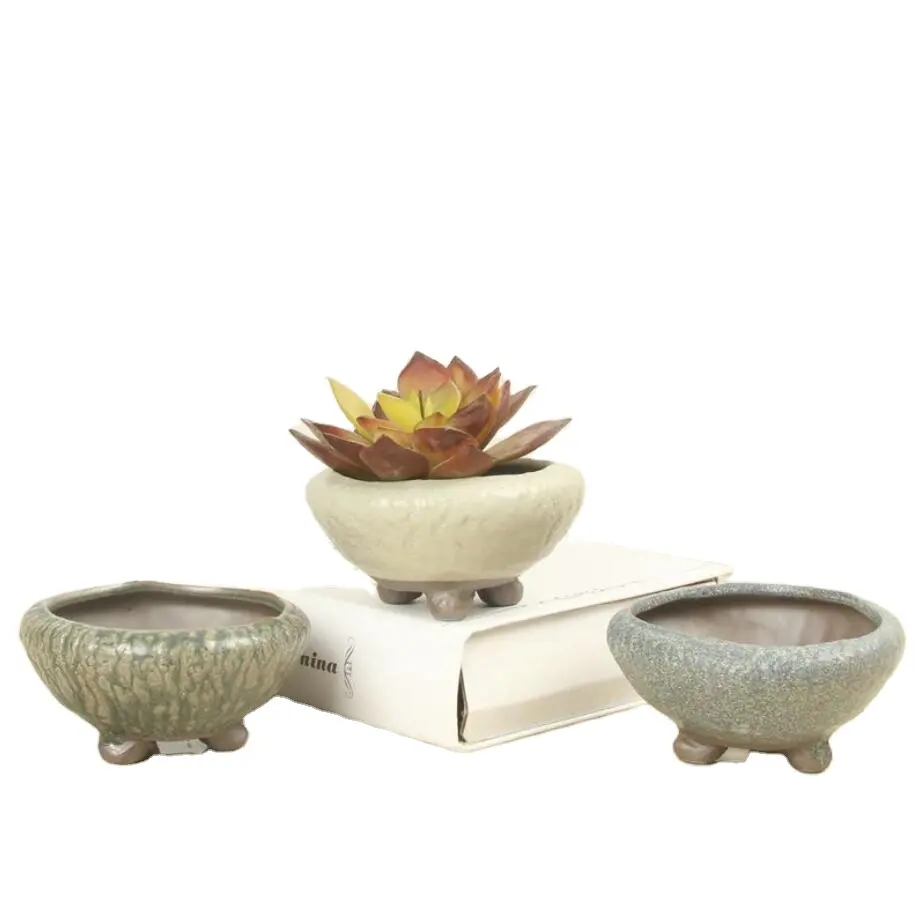 Simple Custom Logo Succulent Planter Stone Bowl Shape Ceramic Bonsai Pot Mini