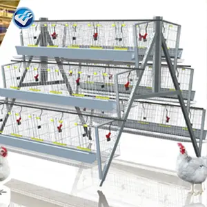 Pollaio a vendita calda per gabbia automatica per uova a strati di pollo in allevamento di pollame (produttore)